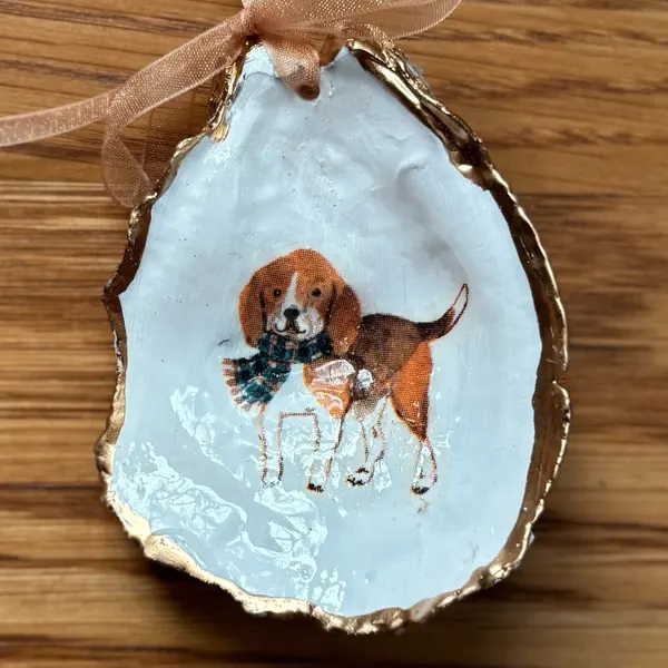 A gold-rimmed oyster shell ornament with a beagle in a plaid scarf, hung on a peach organza ribbon. Comes in a gift bag.