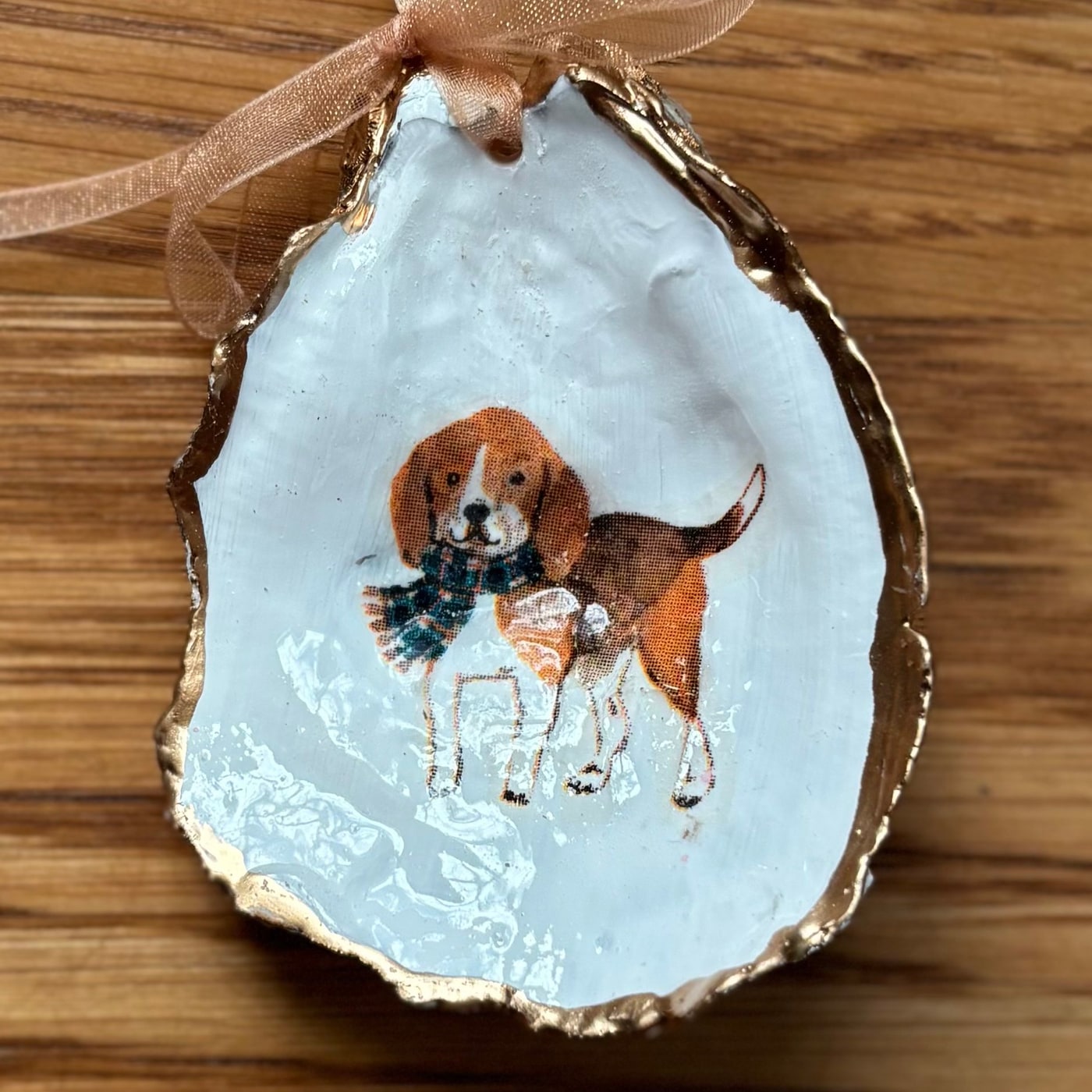 A gold-rimmed oyster shell ornament with a beagle in a plaid scarf, hung on a peach organza ribbon. Comes in a gift bag.
