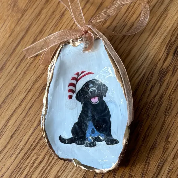 A gold-rimmed oyster shell ornament with a black Lab puppy in a red and white Santa hat, hung on a peach organza ribbon. Comes in a gift bag.
