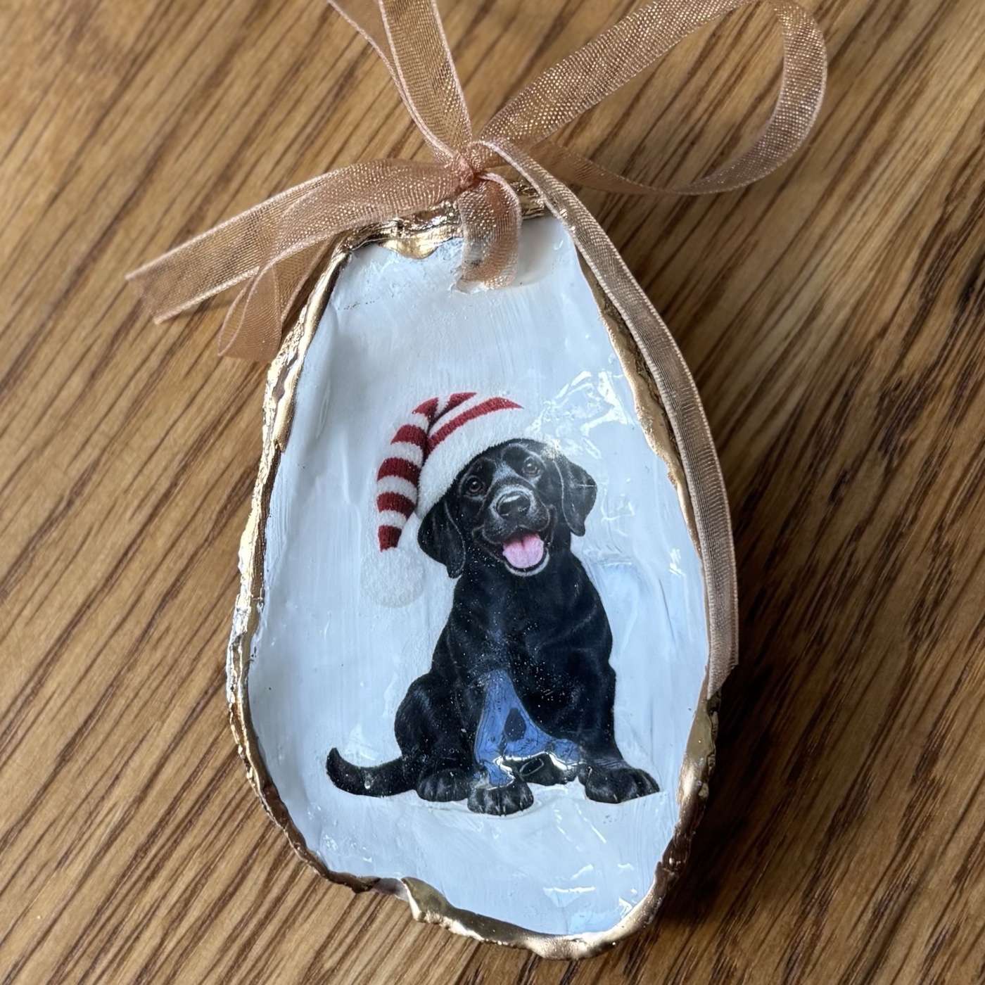 A gold-rimmed oyster shell ornament with a black Lab puppy in a red and white Santa hat, hung on a peach organza ribbon. Comes in a gift bag.