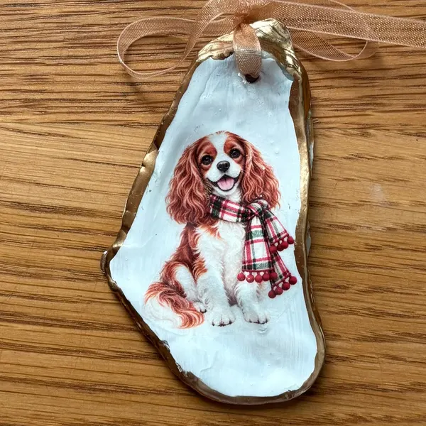 A gold-rimmed oyster shell ornament with a Cavalier King Charles spaniel in a red plaid scarf, hung on a peach organza ribbon. Comes in a gift bag.