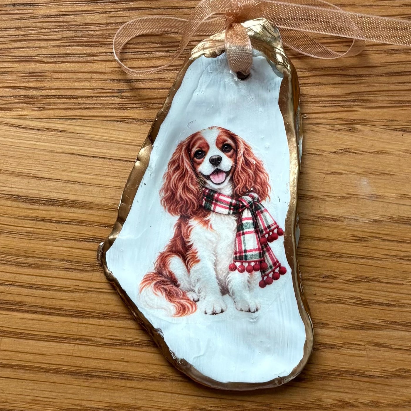 A gold-rimmed oyster shell ornament with a Cavalier King Charles spaniel in a red plaid scarf, hung on a peach organza ribbon. Comes in a gift bag.