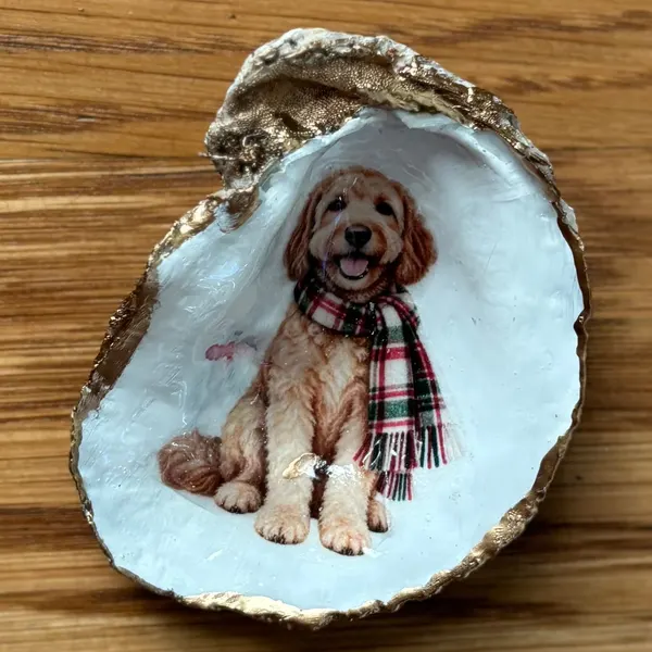 A gold-rimmed oyster shell ornament with a goldendoodle in a red and green plaid scarf, hung on a peach organza ribbon. Comes in a gift bag.