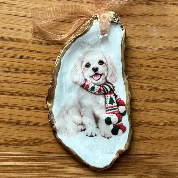 A gold-rimmed oyster shell ornament with a cream Havanese or Cavapoo puppy in a Christmas tree knit scarf, hung on a peach organza ribbon. Comes in a gift bag.