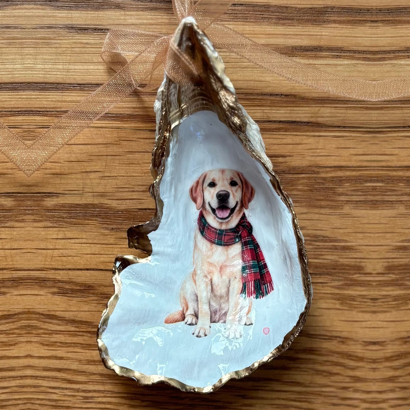 A gold-rimmed oyster shell ornament with a yellow Lab in a red plaid scarf, hung on a peach organza ribbon. Comes in a gift bag.